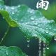谷雨
